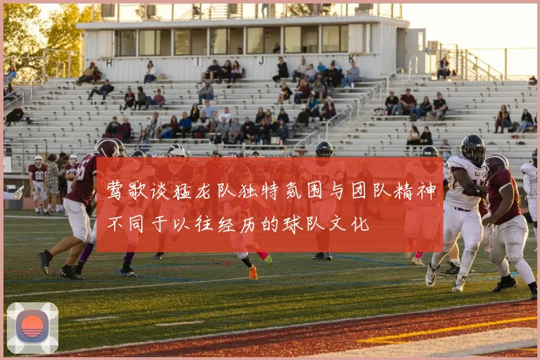 莺歌谈猛龙队独特氛围与团队精神不同于以往经历的球队文化