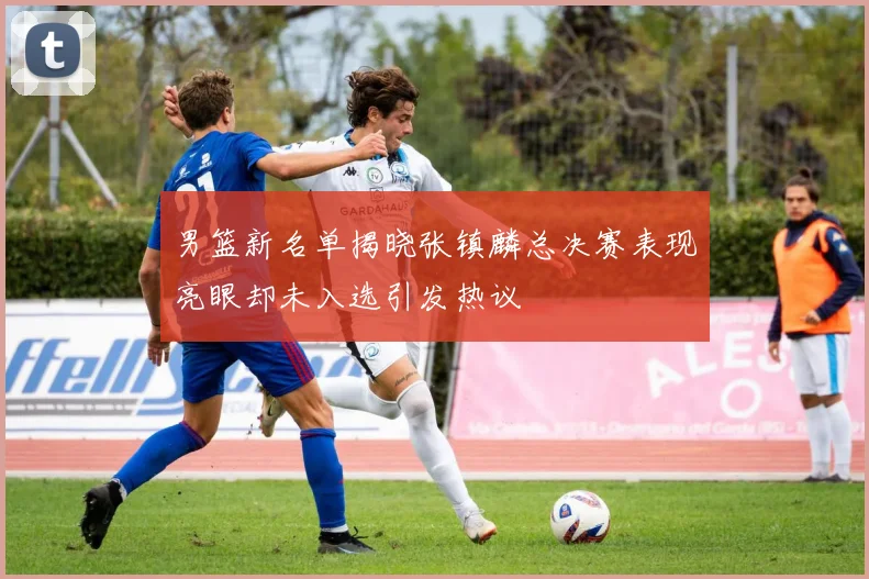 男篮新名单揭晓张镇麟总决赛表现亮眼却未入选引发热议